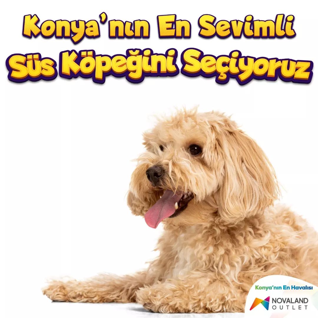 NOVALAND AVM, KONYA'NIN EN SEVİMLİ SÜS KÖPEĞİNİ SEÇİYOR 