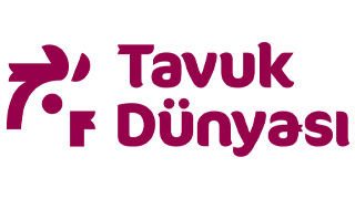 TAVUK DÜNYASI