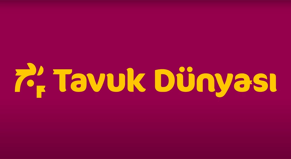 TAVUK DÜNYASI
